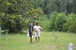 Mass killing for women, Babies and elders. These graves are Located at Saint Marys